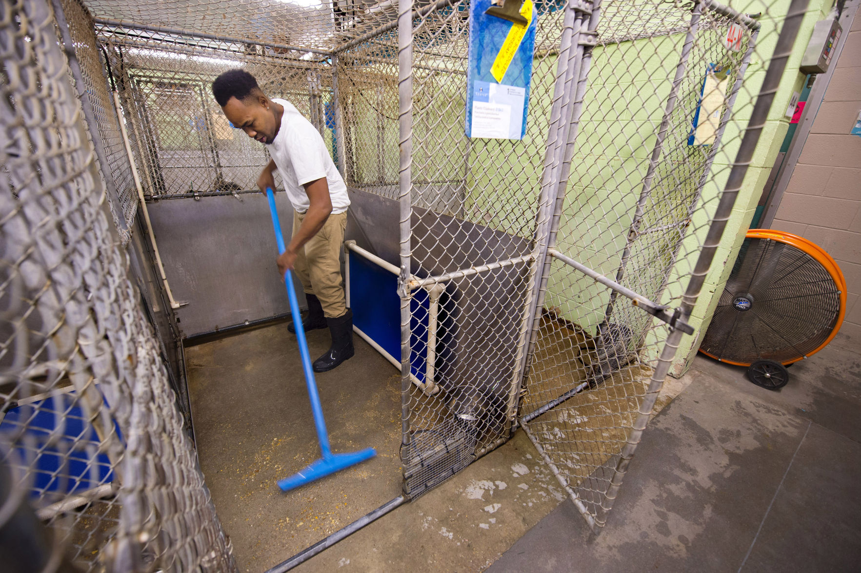 BR.sheltermove.adv_TS_79